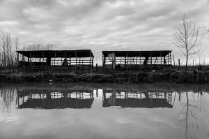 Iran, Anzali Port, 2011, Pigment ink print, 30x45 cm Edition 1/7 + 2 AP  