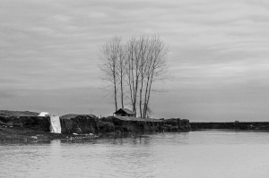 Iran, Anzali Port, 2011, Pigment ink print, 30x45 cm Edition 1/7 + 2 AP  